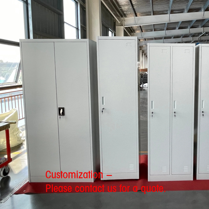 Armadio in Acciaio a 2 Ante Pe - File Cabinet recensione e prezzo
