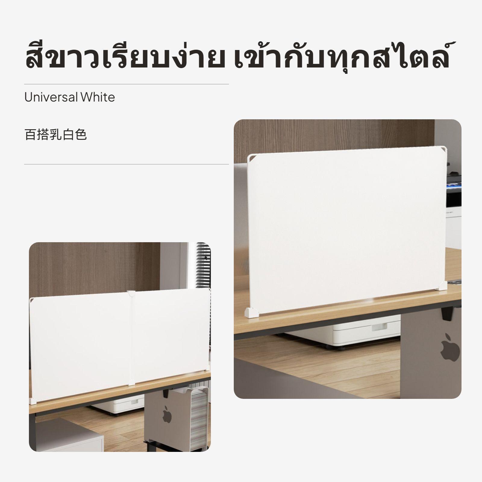 Pannello divisorio in plastica - Partition Screen Divider recensione e prezzo